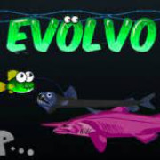 Evolvo Plus