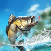 Fishing Travel