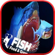 Shark: Feed And Grow
